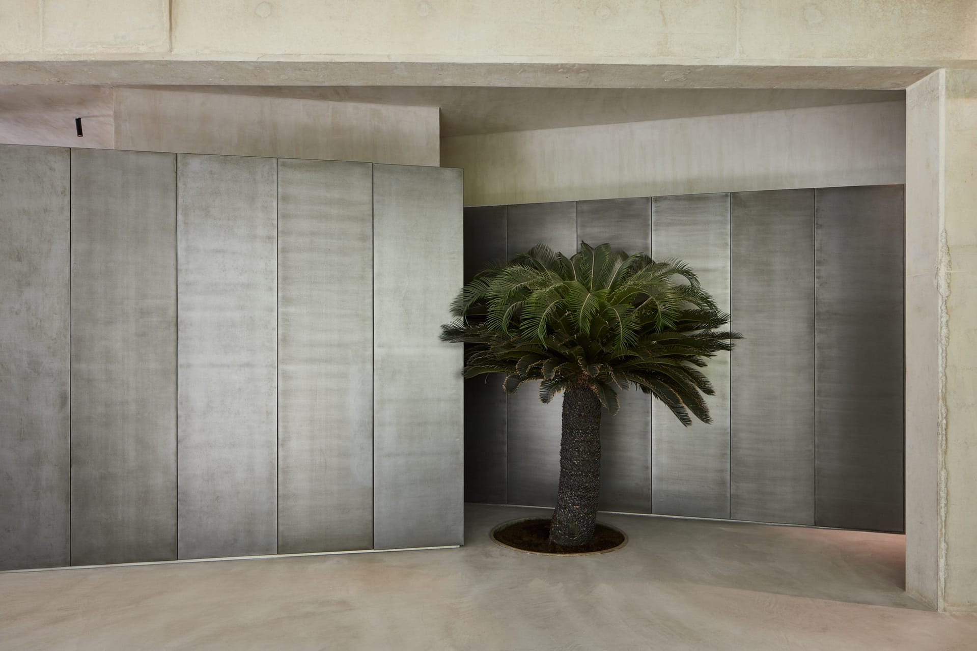 Clay finishing plaster TerraVista Wabi Panna (cream color) applied on walls, columns and ceilings, and Mineral floor finishing TerraTon Floor Structured Panna applied on floors in the Erth restaurant in Abu Dhabi, UAE, by Bone Studio, photo by Oculis Project